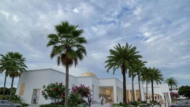 {{brizy_dc_image_alt imageSrc=